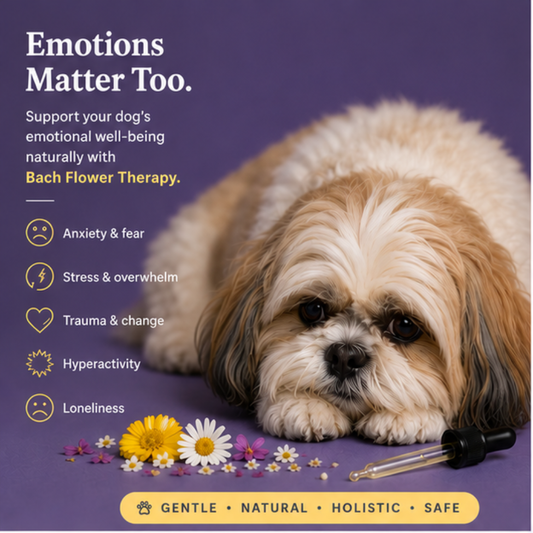 Bach flower therapy for dogs