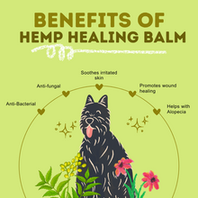 Load image into Gallery viewer, Hemp Healing Balm 50gm