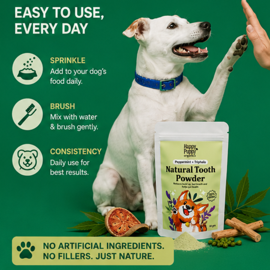 Natural Tooth Powder - Powerful Oral & Gut Health Support for Dogs