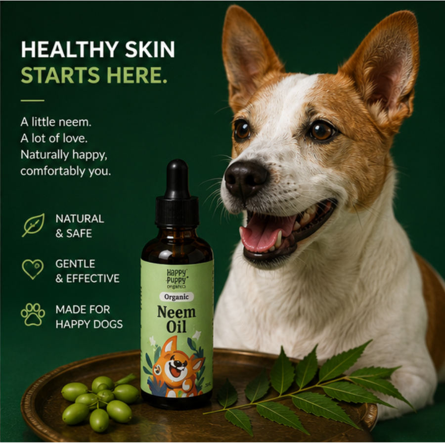 Cold-Pressed Organic Neem Oil – Pure, Powerful Skin & Coat Care for Dogs