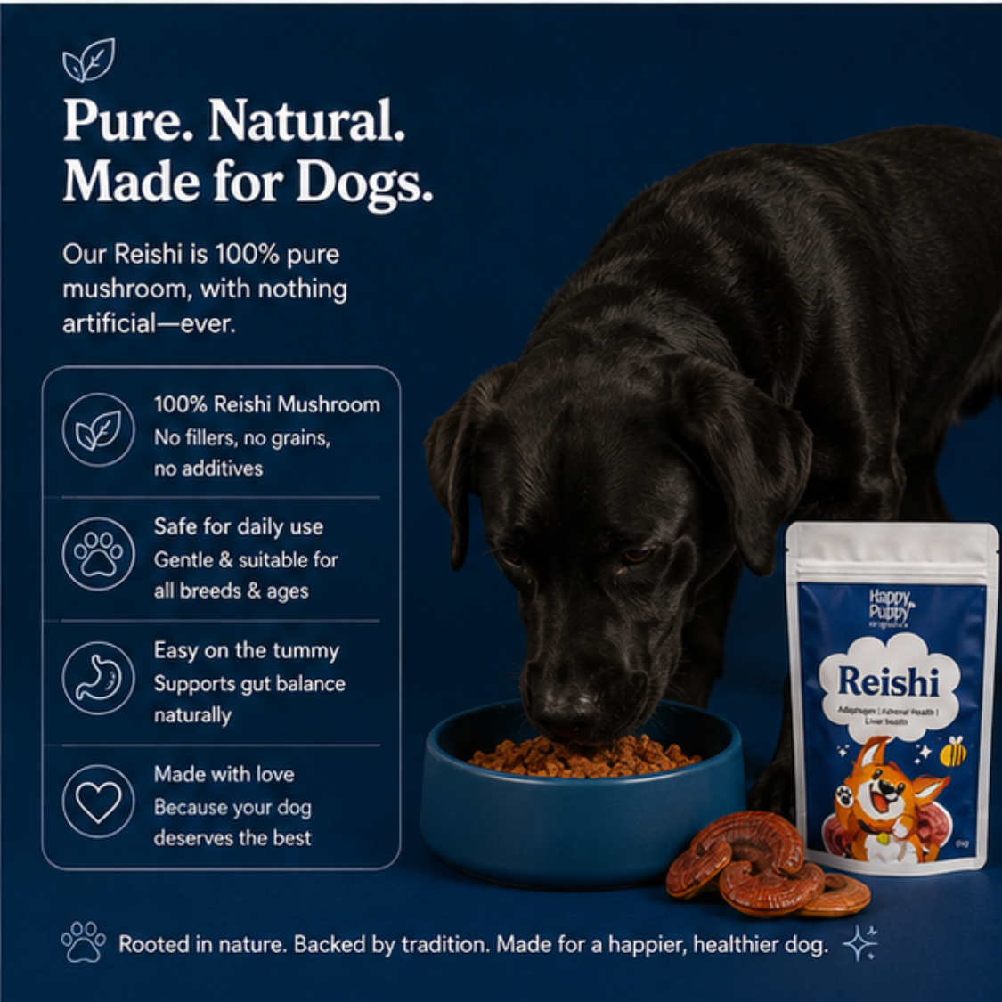 Reishi - Adaptogenic Calm & Resilience Mushroom for Dogs