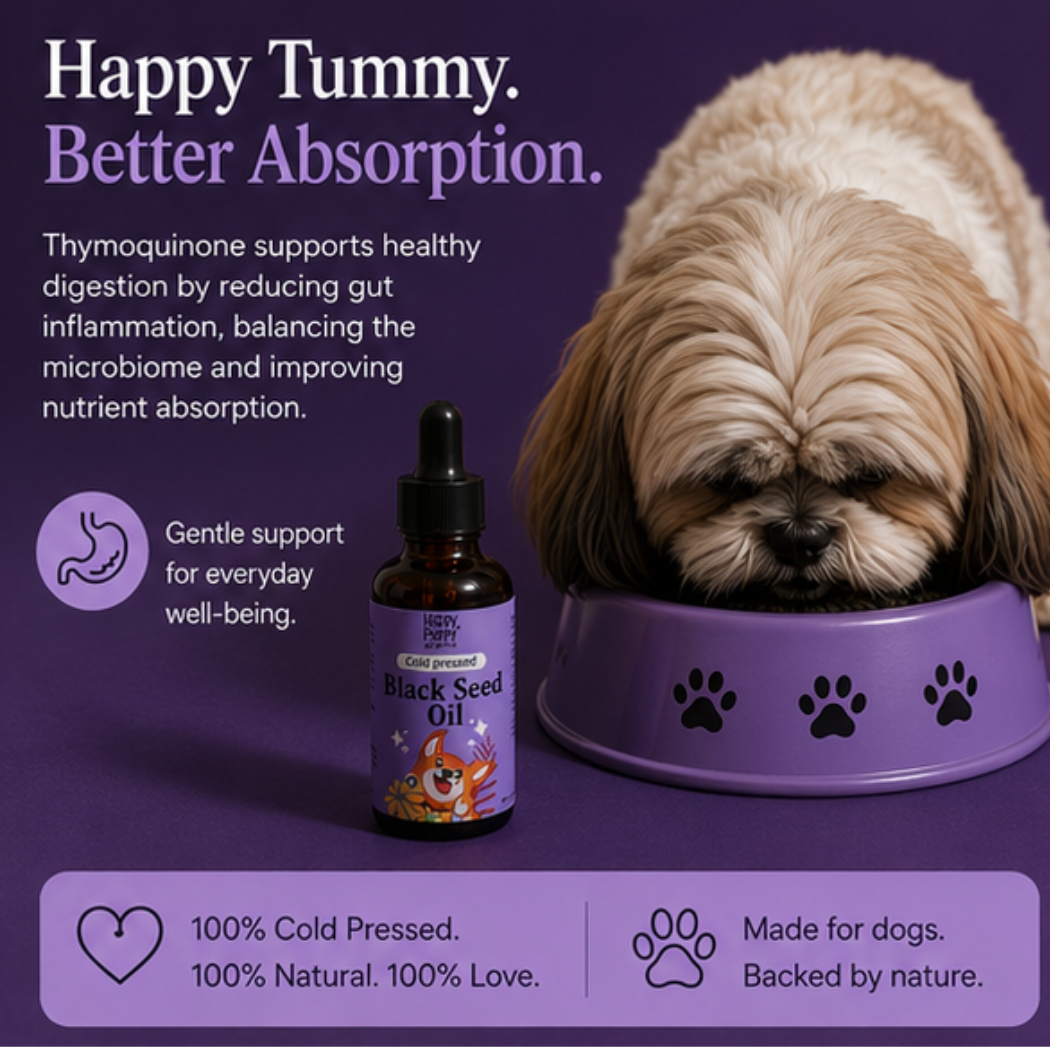 Black Seed Oil for dogs - Powerhouse for Immune, Skin & Digestive Health