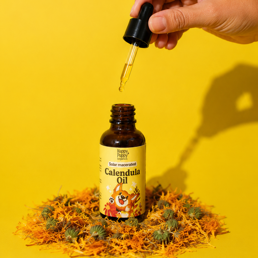Solar Macerated Calendula oil for Dogs - Gentle Skin Healing