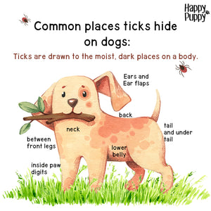 Flea and tick control for dogs