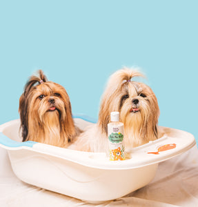 Gentle flea shampoo for dogs