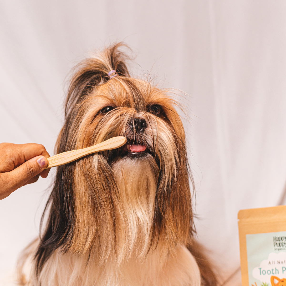 Bamboo dog toothbrush best sale