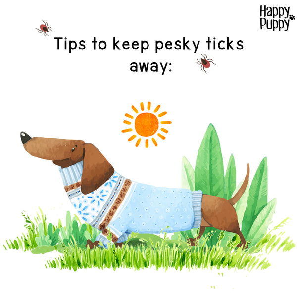 Tips to Naturally Prevent Ticks