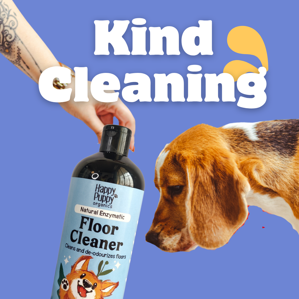 Kind Cleaning