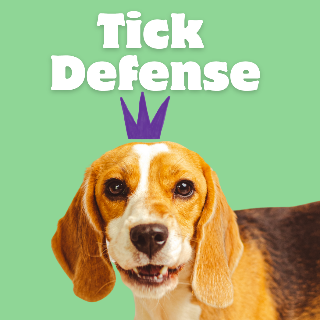 Ticks and fleas