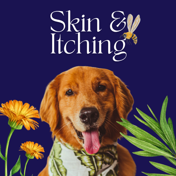 Skin and itching