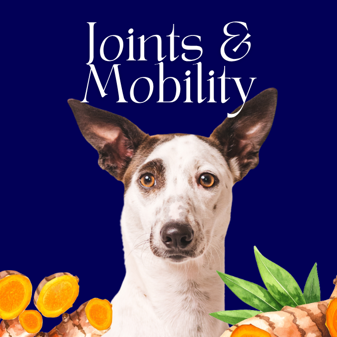 Joint Health & Mobility