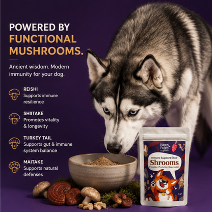 Shrooms Mushroom Elixir - Powerful Immune & Cognitive Support for Dogs