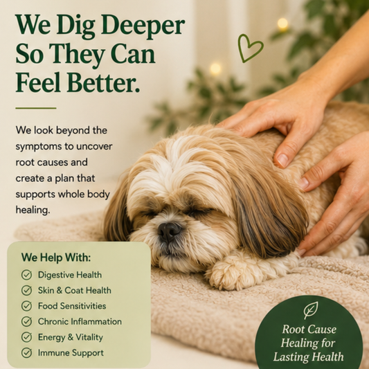 Functional Health Root Cause Consult with Drishti