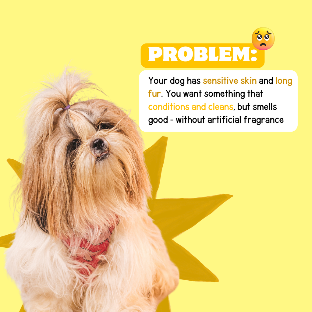 Hydrating Shampoo with Banana & Honey - Moisturizing, Gentle, and Natural