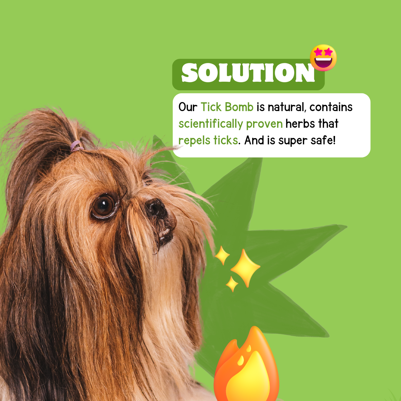 Tick Bomb: Natural Anti-tick Spray