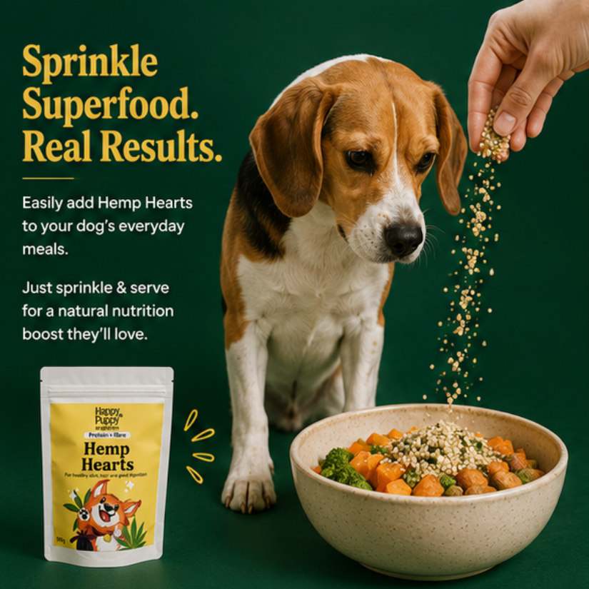 Hemp Hearts - Nutrient-Rich Superfood for Skin, Coat & Overall Vitality
