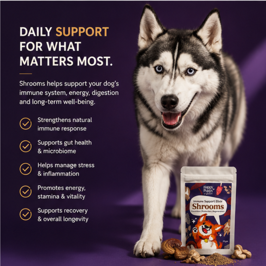 Shrooms Mushroom Elixir - Powerful Immune & Cognitive Support for Dogs