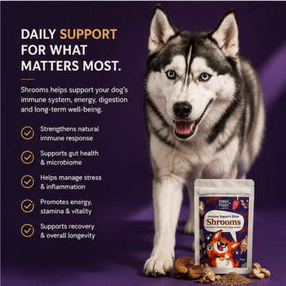 Shrooms Mushroom Elixir - Powerful Immune & Cognitive Support for Dogs