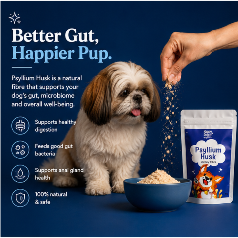 Psyllium Husk For Dogs - Supports Healthy Digestion & Bowel Regularity