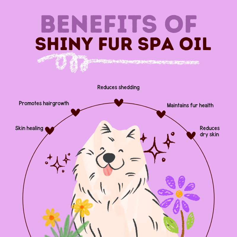Shiny Fur Spa Oil – Aromatherapy Bliss for Fur Regrowth & Radiant Coat
