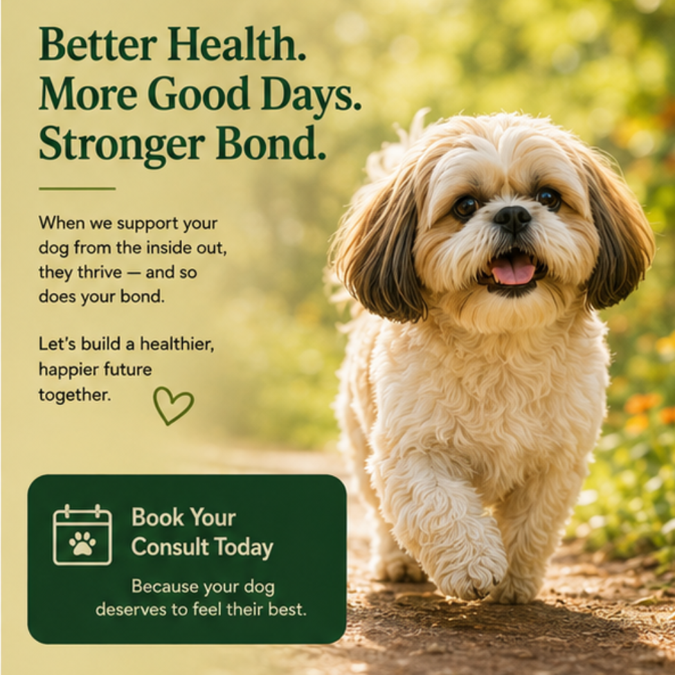 Functional Health Root Cause Consult with Drishti