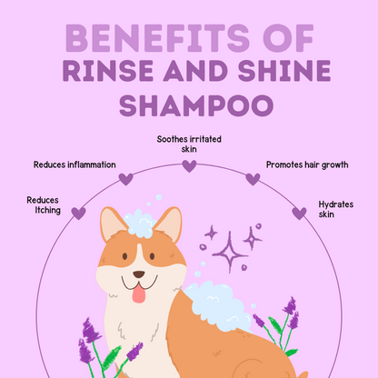 Rinse and Shine Shampoo - Natural Itch Care with Lavender, Rosemary & Coconut Oil