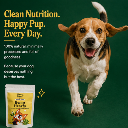 Hemp Hearts - Nutrient-Rich Superfood for Skin, Coat & Overall Vitality