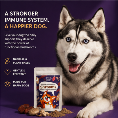 Shrooms Mushroom Elixir - Powerful Immune & Cognitive Support for Dogs