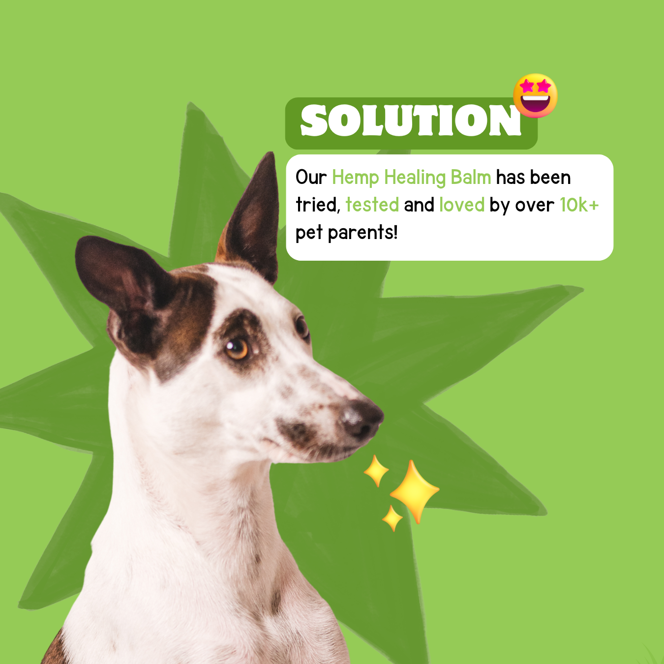 Hemp Healing Balm 50gm