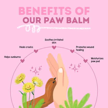 Calendula Paw Balm -  Ultimate Healing & Protection for Your Dog’s Paws