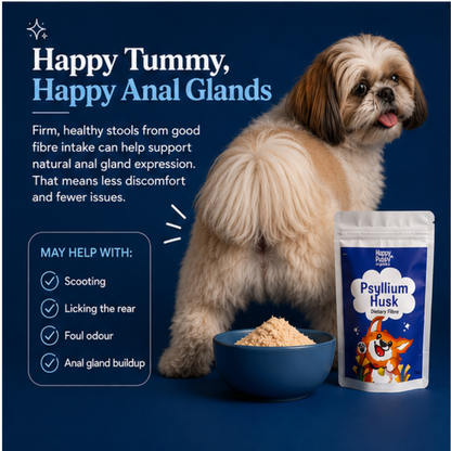 Psyllium Husk For Dogs - Supports Healthy Digestion & Bowel Regularity