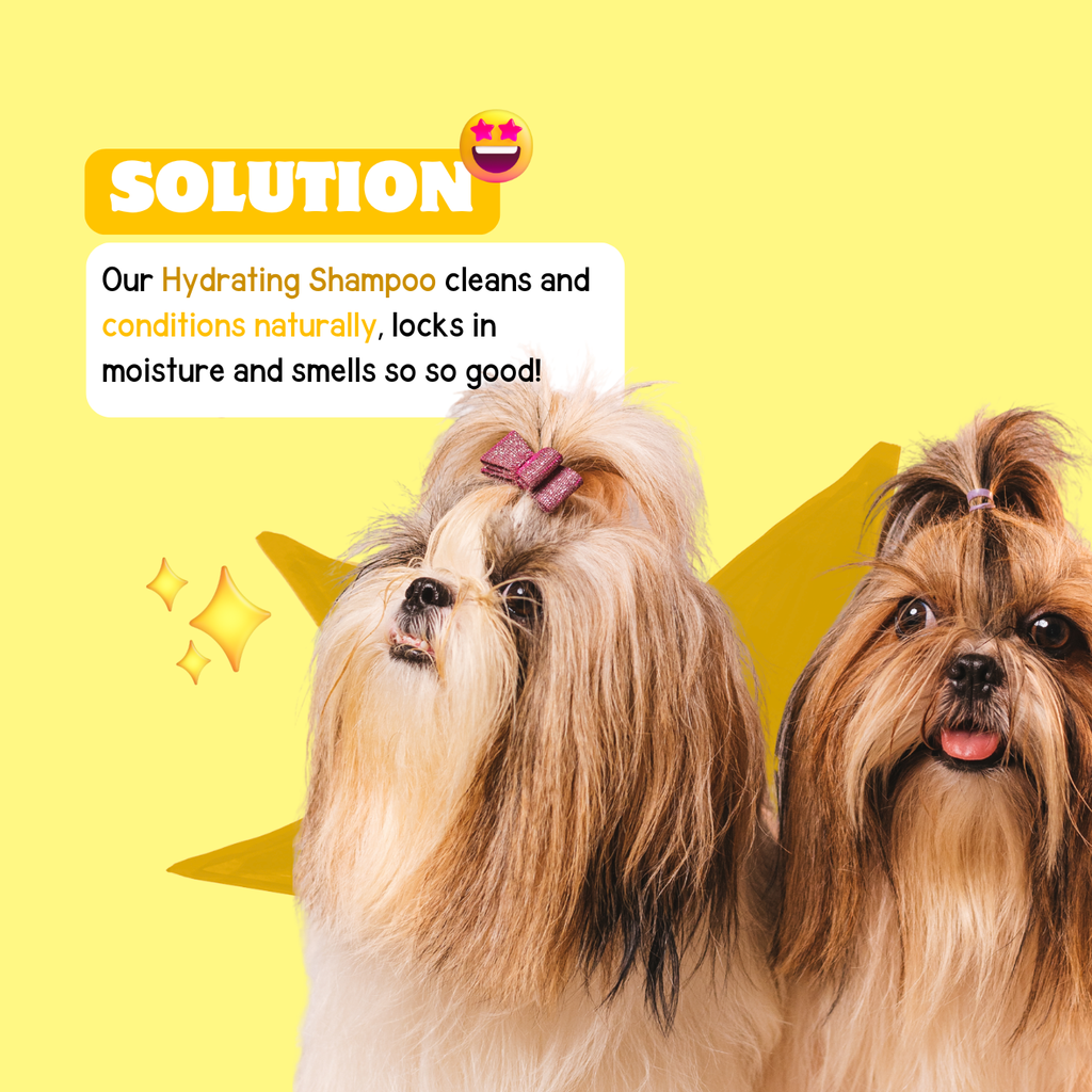 Hydrating Shampoo with Banana & Honey - Moisturizing, Gentle, and Natural