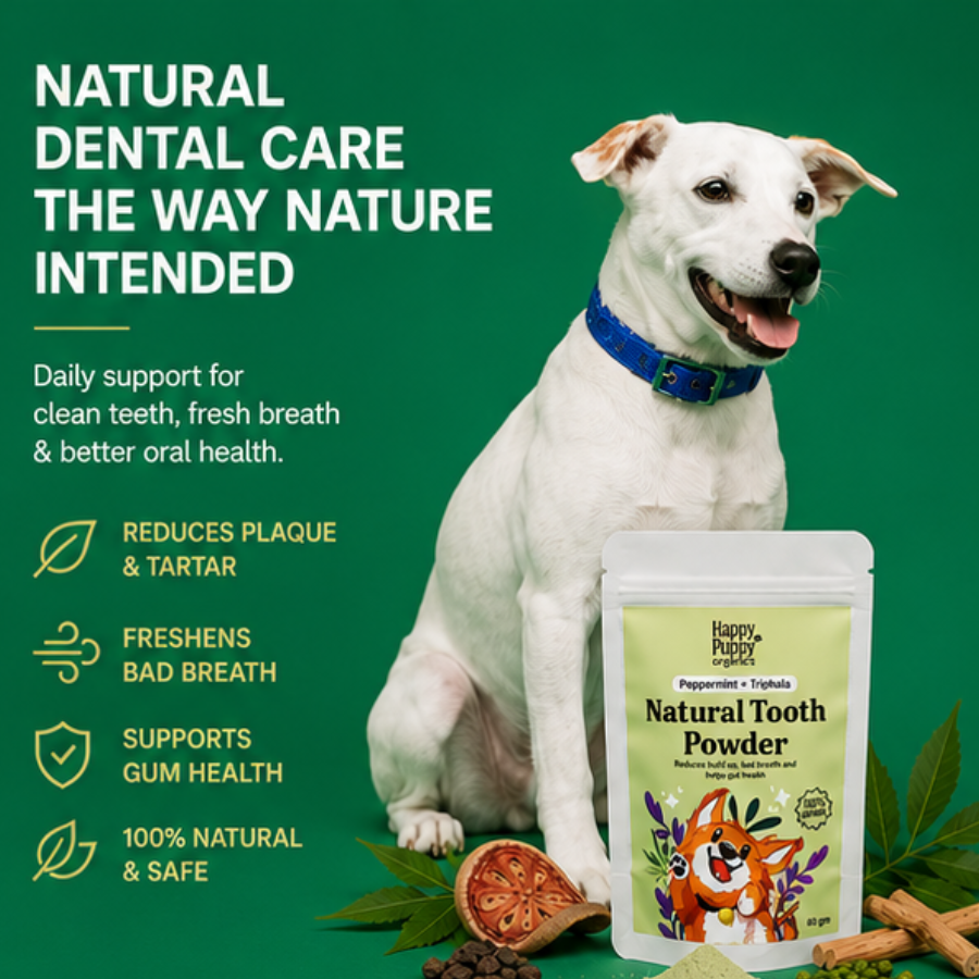 Natural Tooth Powder -  Powerful Oral & Gut Health Support for Dogs