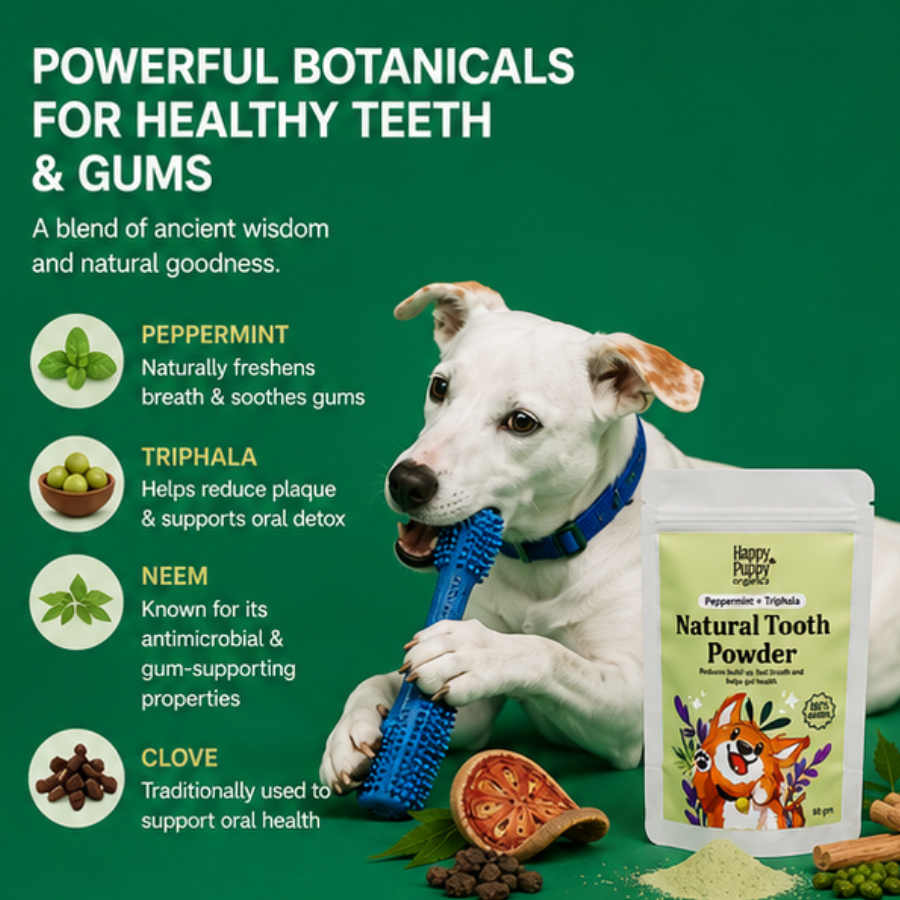 Natural Tooth Powder -  Powerful Oral & Gut Health Support for Dogs
