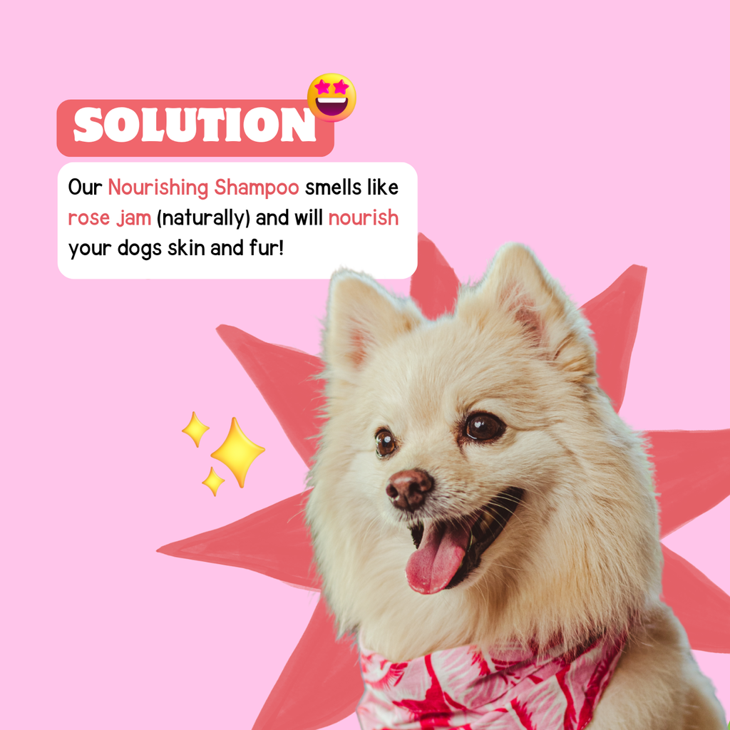 Nourishing Shampoo with Goat Milk, Rose & Cranberry - Hydrate and Soothe Your Dog's Skin