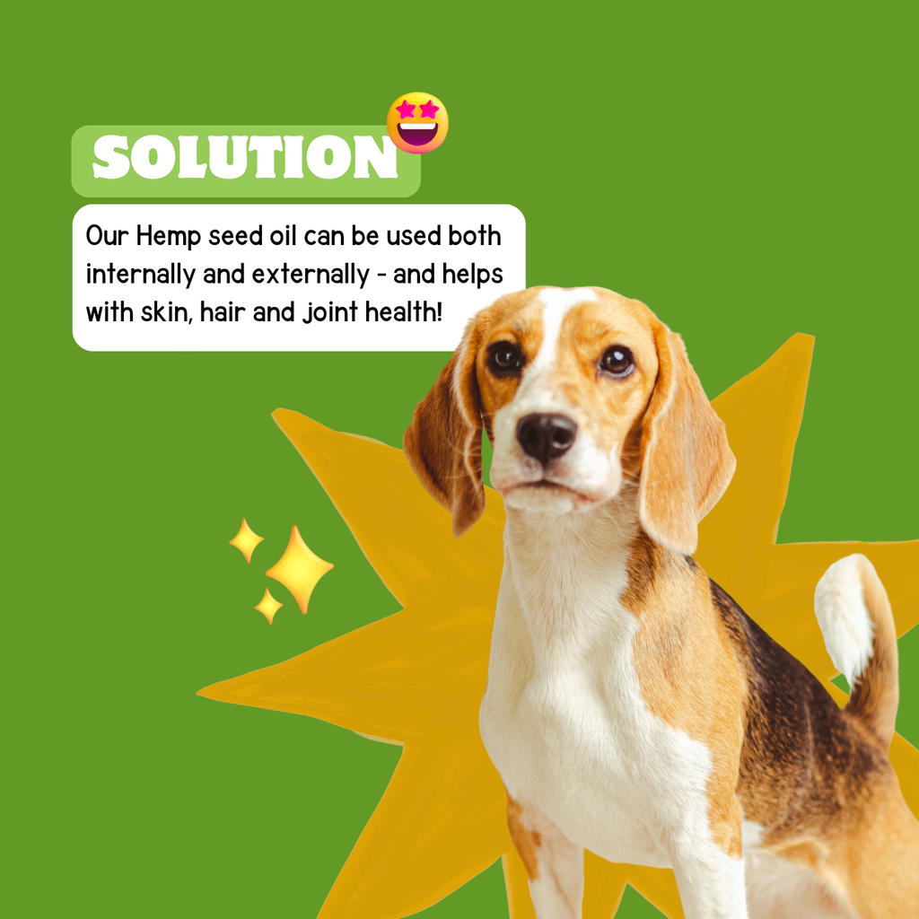 Hemp Seed Oil for pets