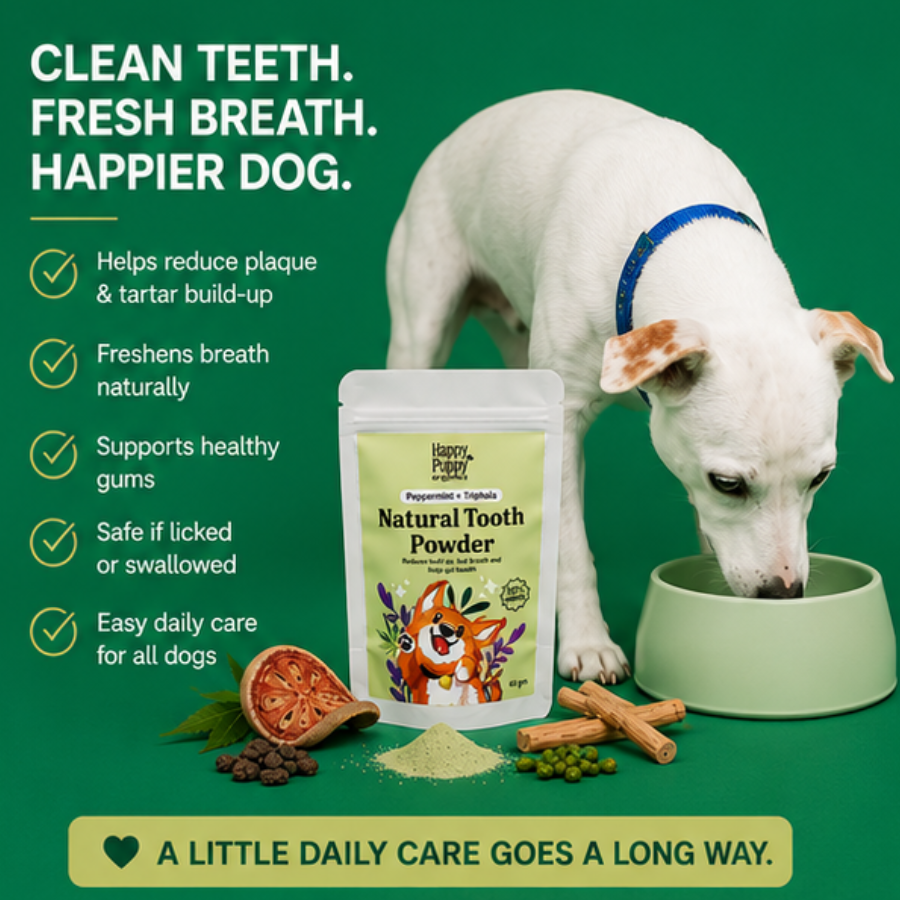 Natural Tooth Powder -  Powerful Oral & Gut Health Support for Dogs