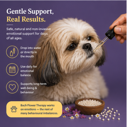 Bach flower therapy for dogs