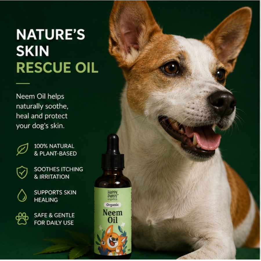 Cold-Pressed Organic Neem Oil – Pure, Powerful Skin & Coat Care for Dogs