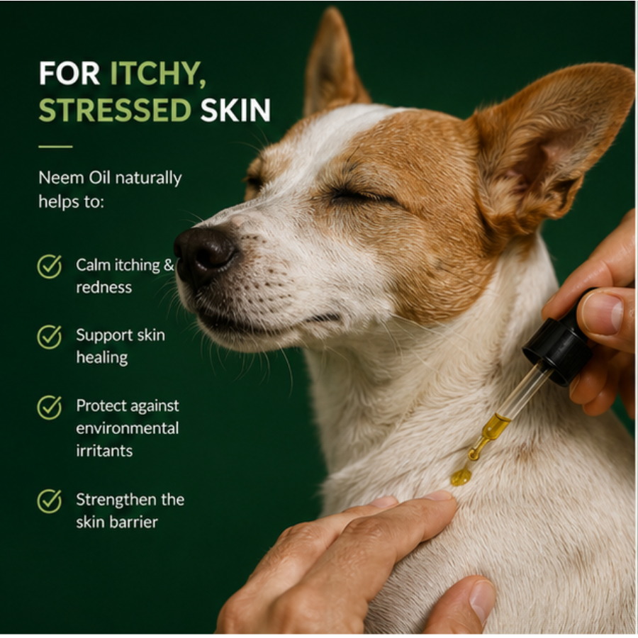 Cold-Pressed Organic Neem Oil – Pure, Powerful Skin & Coat Care for Dogs