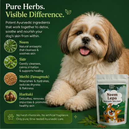 Neem Lepa - Ayurvedic neem pack for dogs