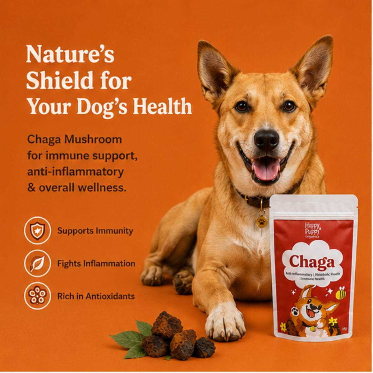 Chaga Mushoom - Cellular Defense & Immune Support for Dogs