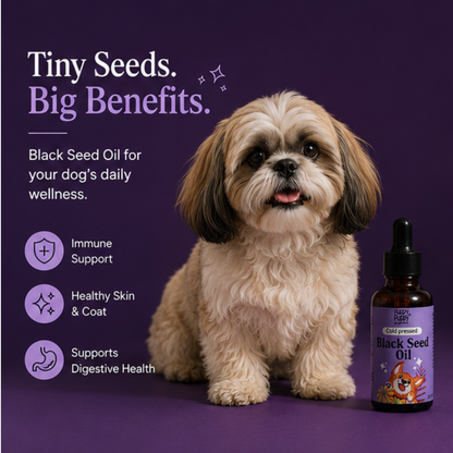 Black Seed Oil for dogs - Powerhouse for Immune, Skin & Digestive Health