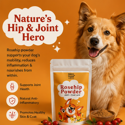 Rosehip for Dogs - Nature’s Vitamin C Boost for Joints and Immunity