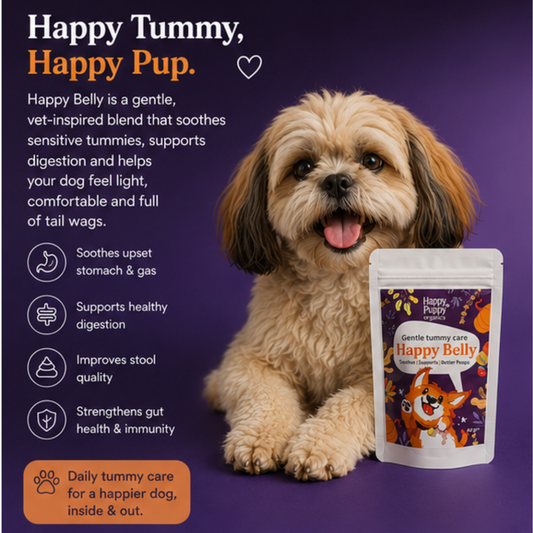 Happy Belly with Slippery Elm