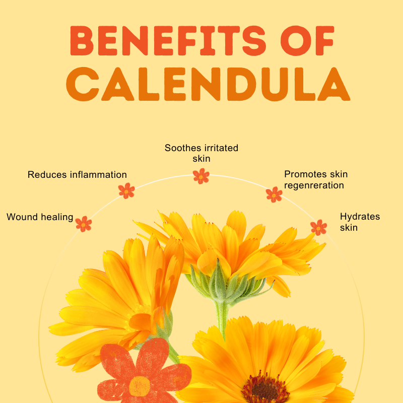 Solar Macerated Calendula Oil – Gentle Healing & Skin Renewal for Dogs