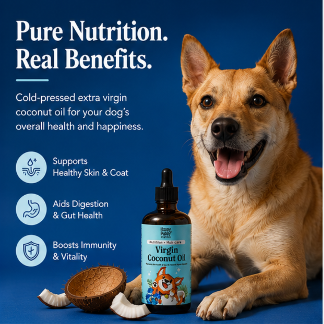 Virgin Coconut Oil for Dogs -  Digestion & Natural Anti-Fungal Support