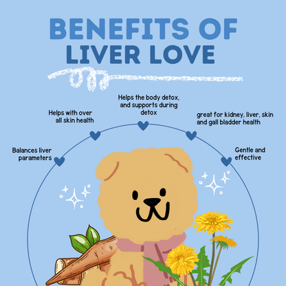 Liver Love: Herbal liver support supplement