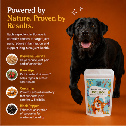 Bounce  - Joint Support & Mobility Blend