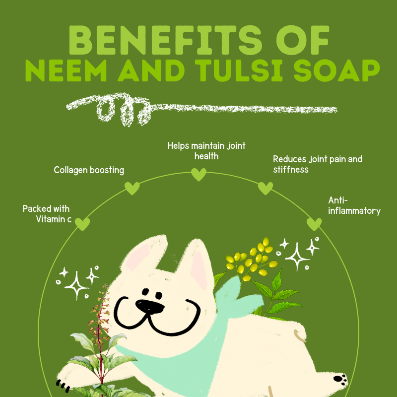 Natural Neem and Tulsi soap for dogs